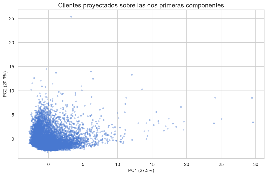 Two-dimensional PCA projection of credit-card customers
