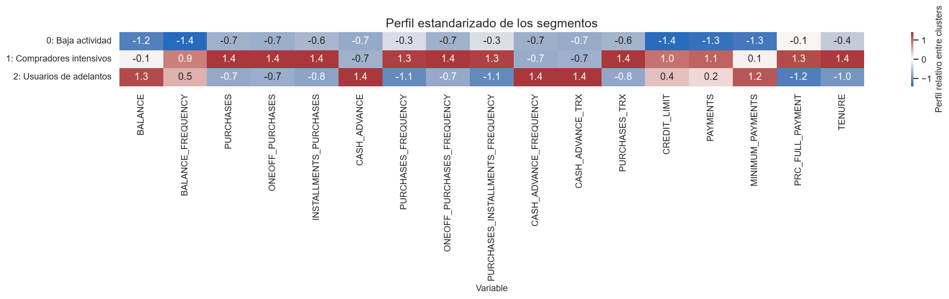 Standardized customer segment profiles